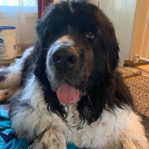 Meet your Posher, Michele